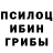 Псилоцибиновые грибы прущие грибы Abby Parker