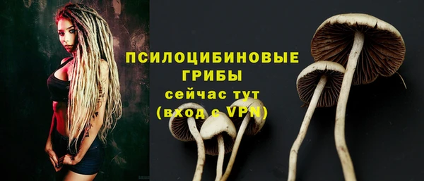 COCAINE Няндома