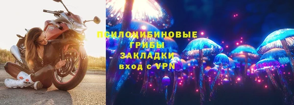 прущие грибы Нягань